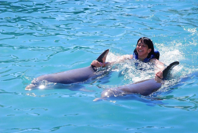Nadando con delfines